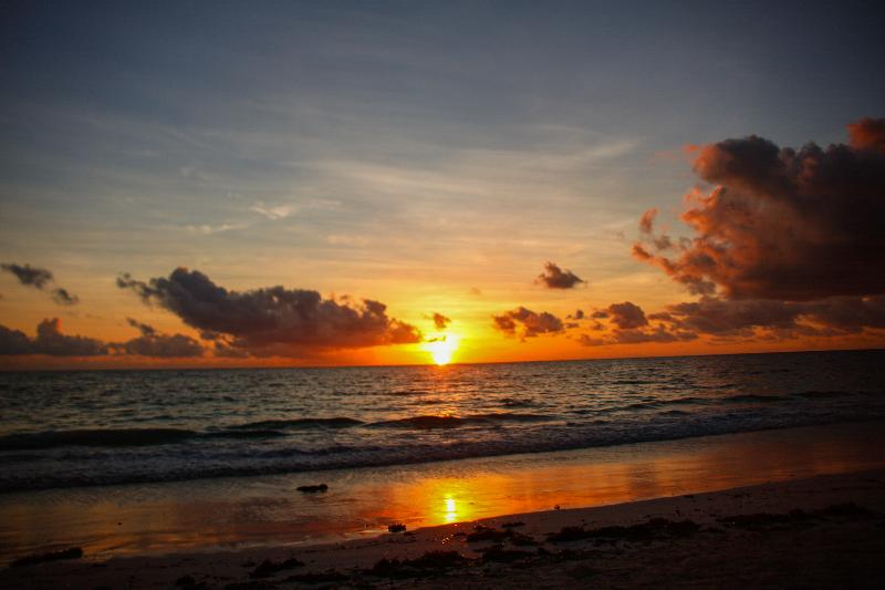 ホテル White Rose Beach