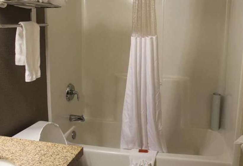 Isle Casino Hotel Lula