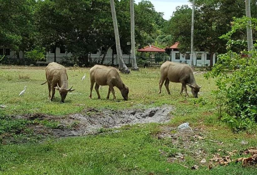 Мотель The Coconut Langkawi