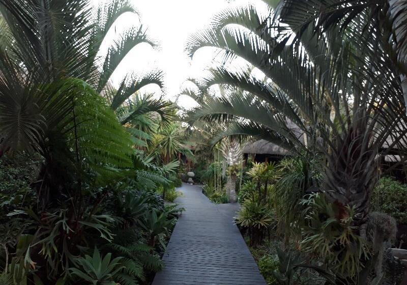 بنسيون Lodge Afrique