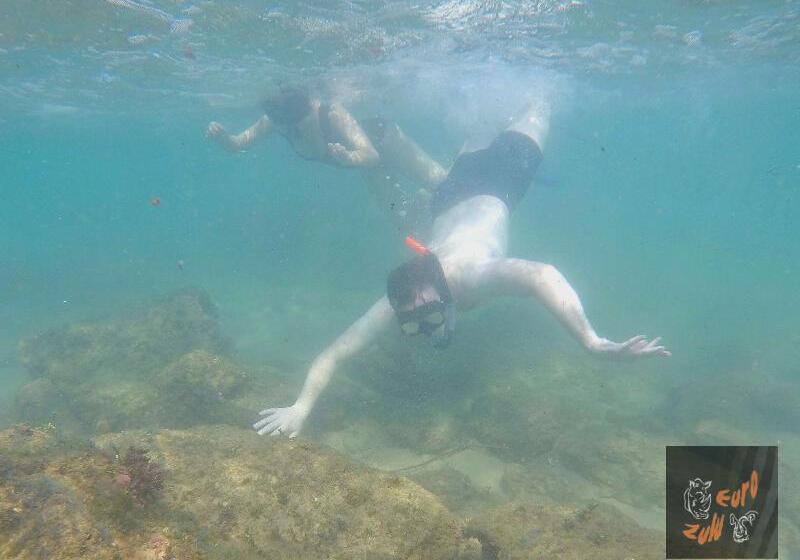 بنسيون Lodge Afrique