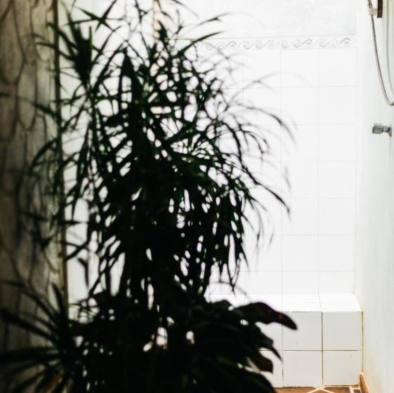 بنسيون Secret Garden Villa   Unawatuna