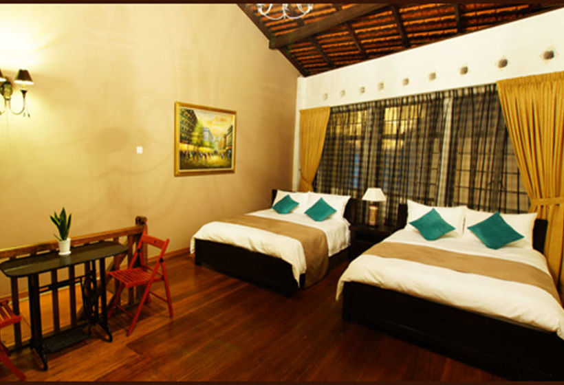 פנסיון Wil House