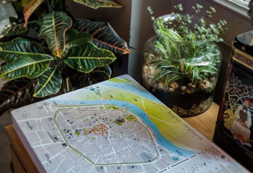 هاستل Ho36 Avignon