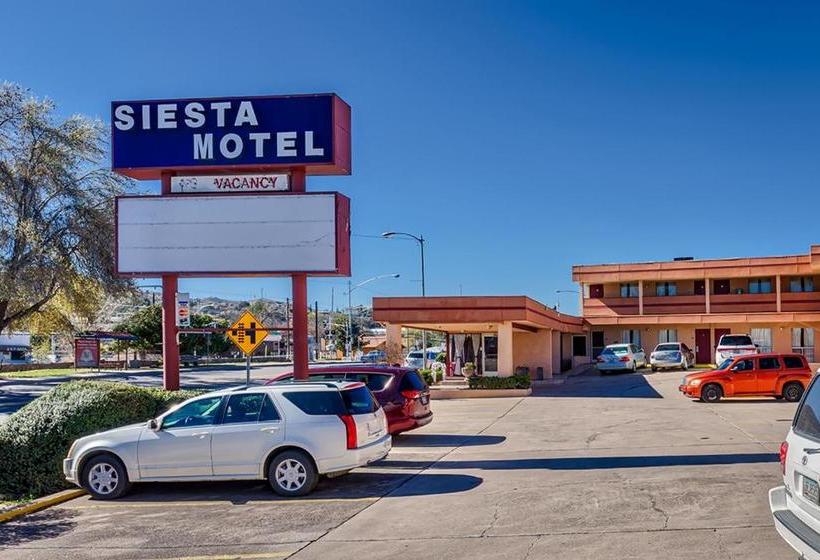 Siesta Motel