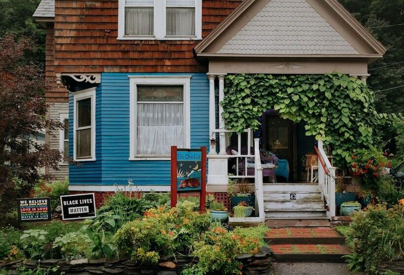 The One Cat B&b