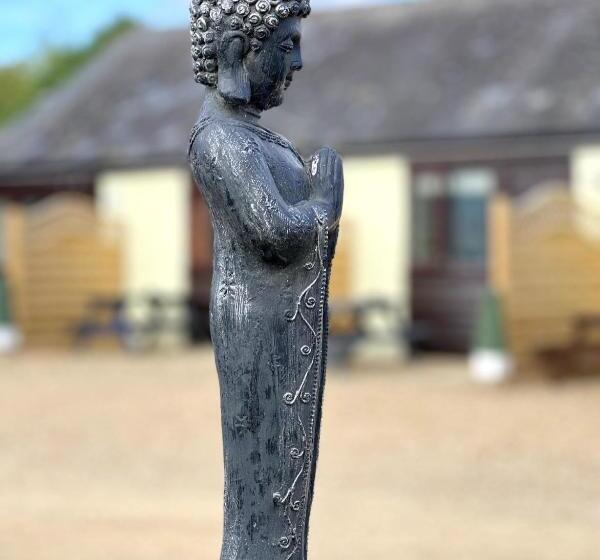 הוסטל Dog And Castle