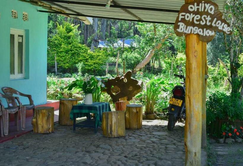 הוסטל Ohiya Forest Lodge