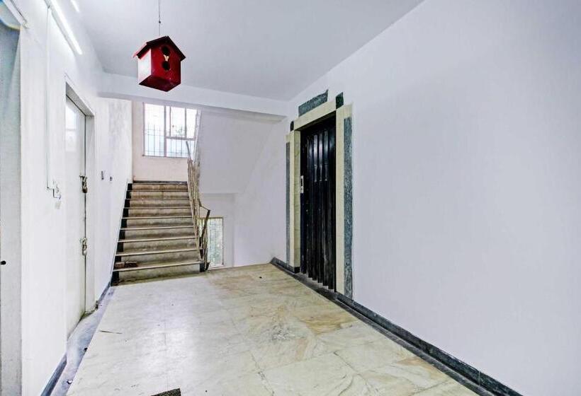 Hotel Collection O Gariahat Inn Near 2nd Floor Kfc Building, Gariahat