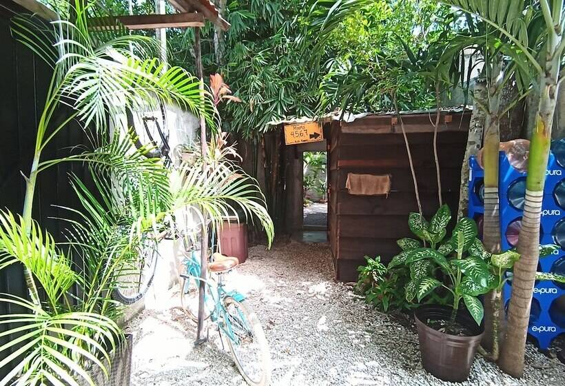 מלון כמוסות Eco Rooms Tulum
