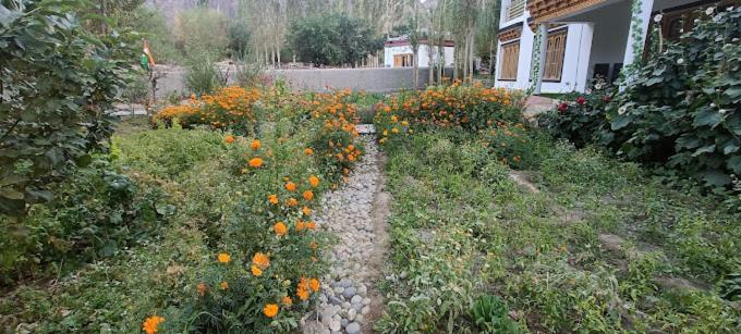 בית מלון כפרי The Nubra Residency, Hunder