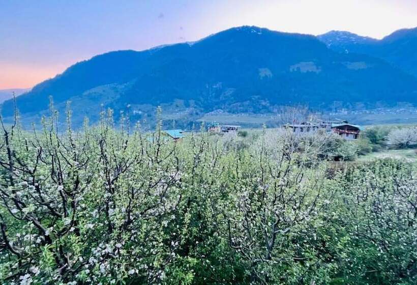 ホテル Sakura Palace