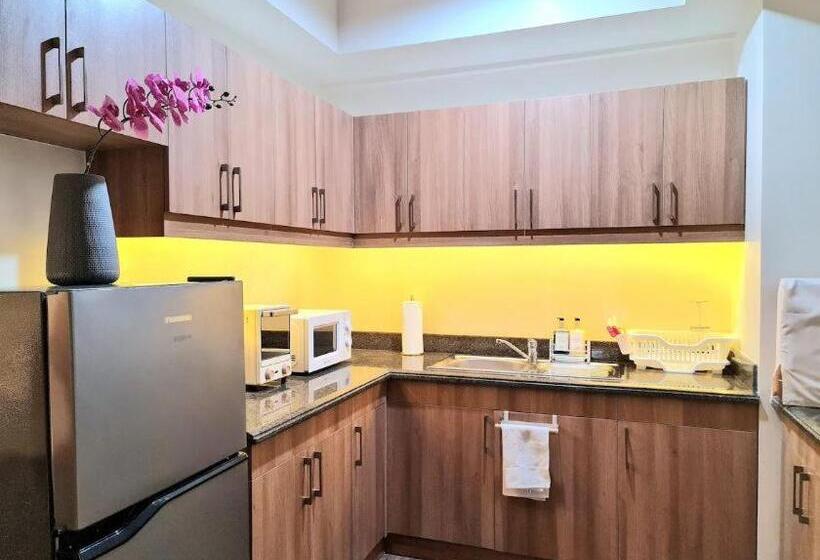 One Aston Deluxe Suite Baguio 2br At Bristle Ridge