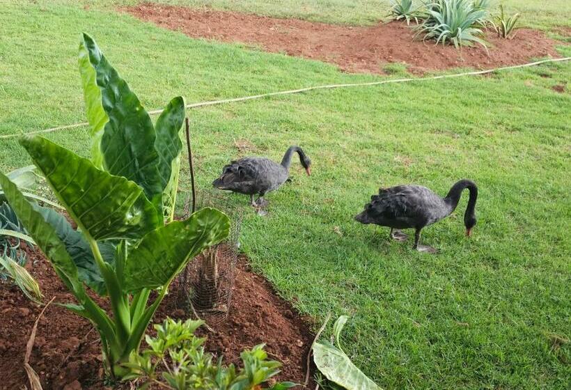 بنسيون Aloetree Lavender