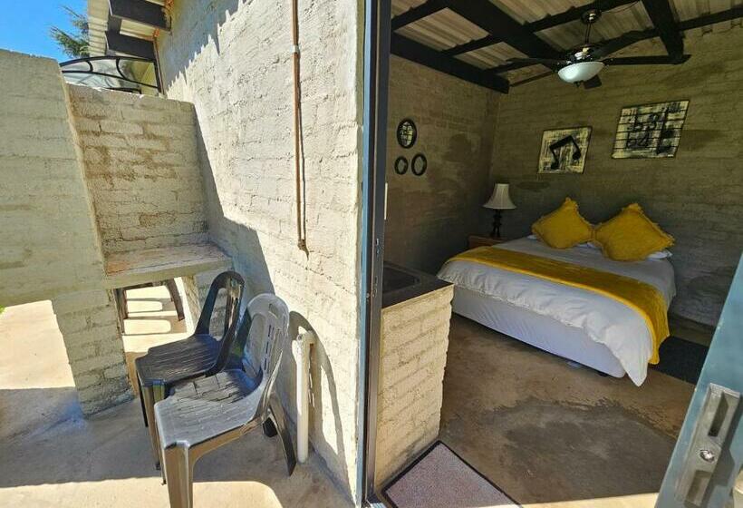 פנסיון Aloetree Spinach