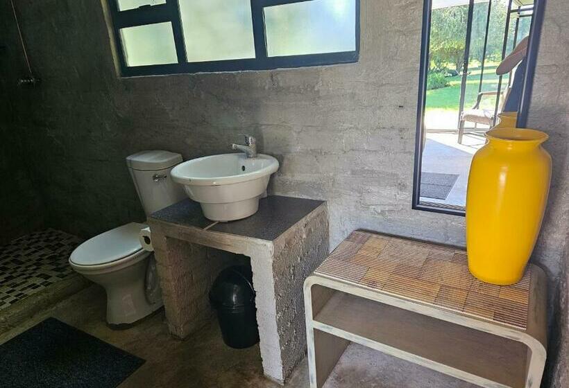 פנסיון Aloetree Spinach