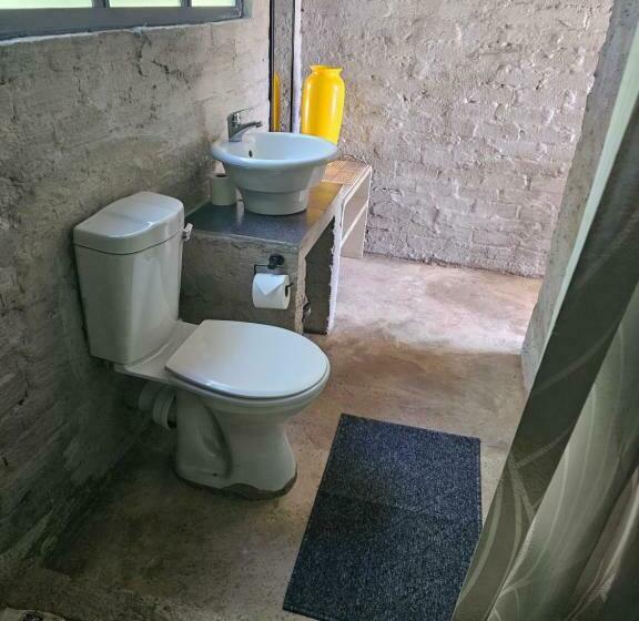 פנסיון Aloetree Spinach