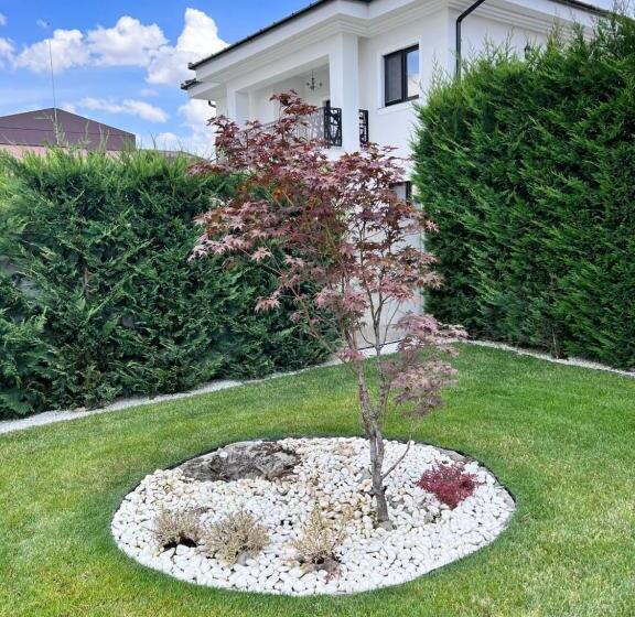 膳宿费 Casa Maria