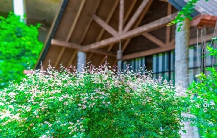 리조트 Passi Nature Villas Pasikuda