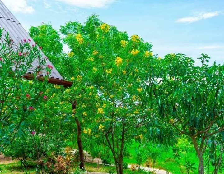 리조트 Passi Nature Villas Pasikuda