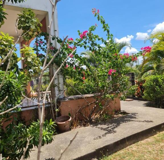 Gm Suites Bed & Breakfast