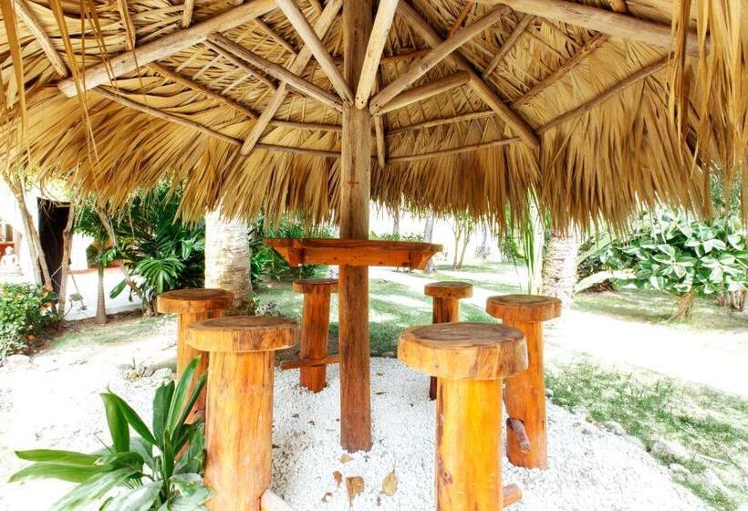 هتل Grand Caribe Beach Club And Spa   Playa Los Corales