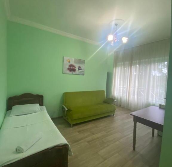 هتل Albatros Shekvetili