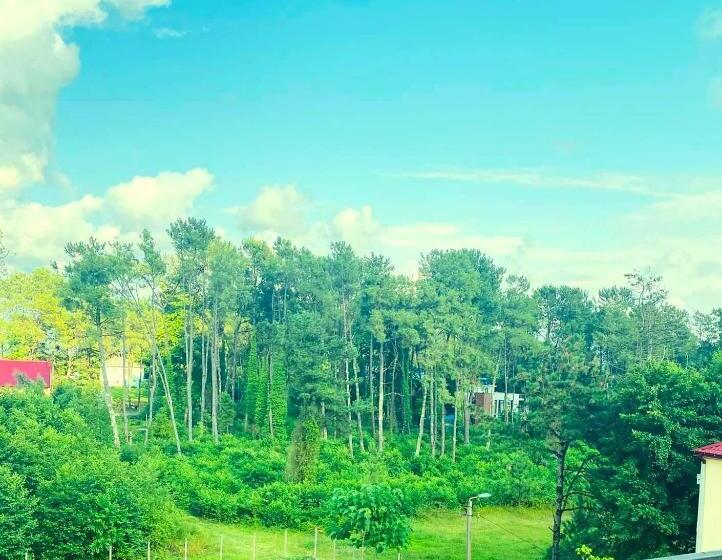 هتل Albatros Shekvetili