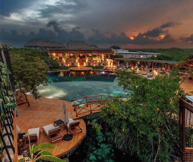 호텔 Shibari   Restaurant & Cenote Club