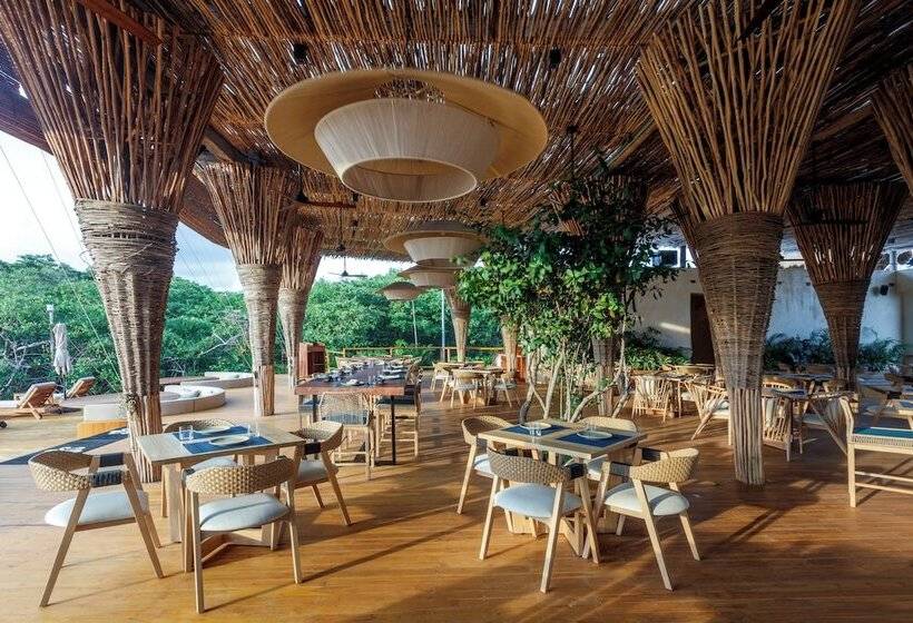 호텔 Shibari   Restaurant & Cenote Club