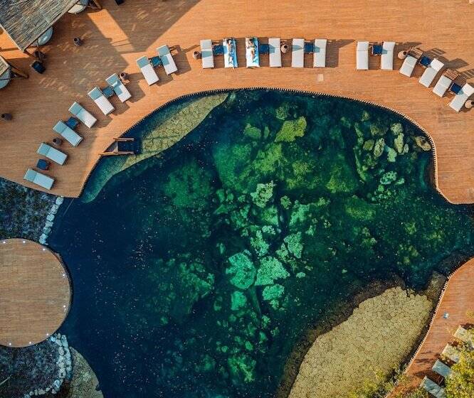 호텔 Shibari   Restaurant & Cenote Club