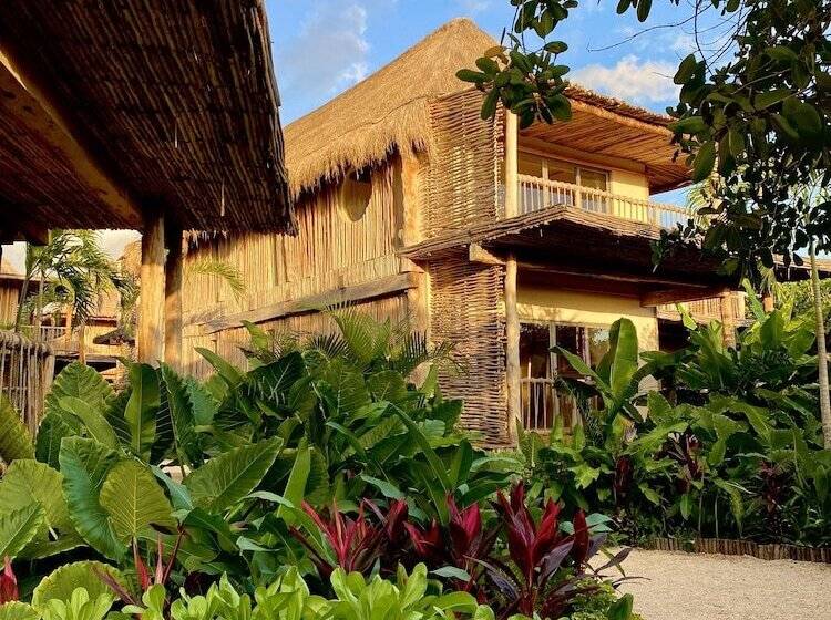 호텔 Shibari   Restaurant & Cenote Club