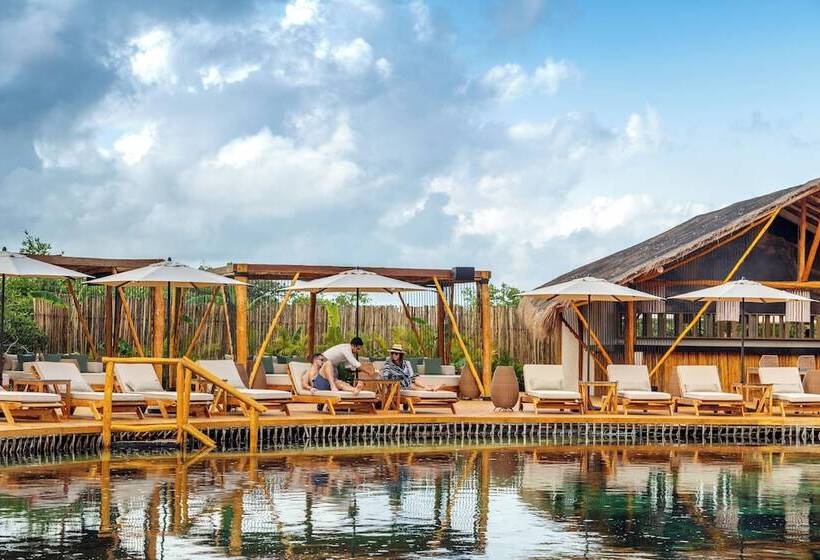 호텔 Shibari   Restaurant & Cenote Club