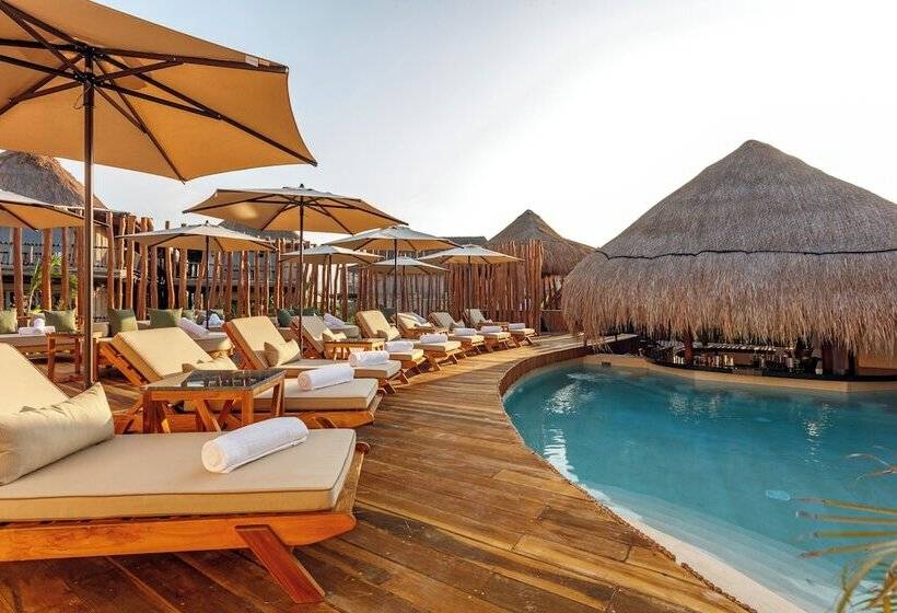 호텔 Shibari   Restaurant & Cenote Club