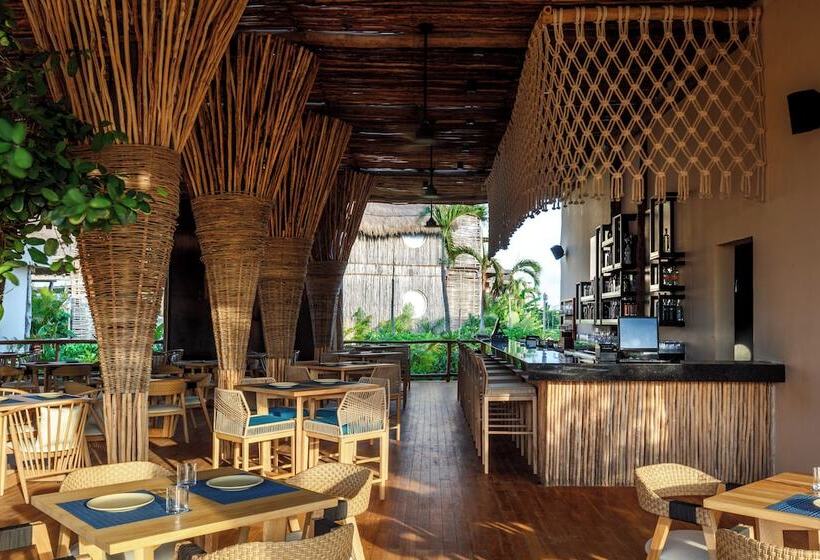 호텔 Shibari   Restaurant & Cenote Club