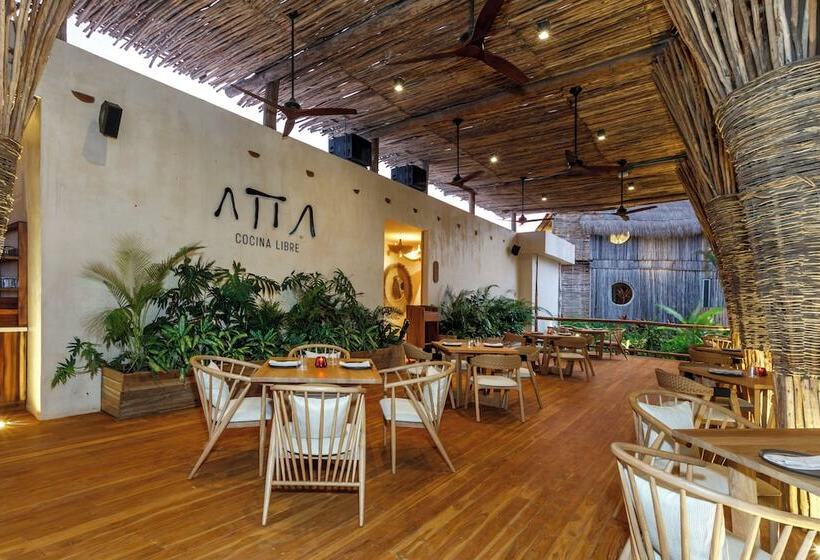 호텔 Shibari   Restaurant & Cenote Club