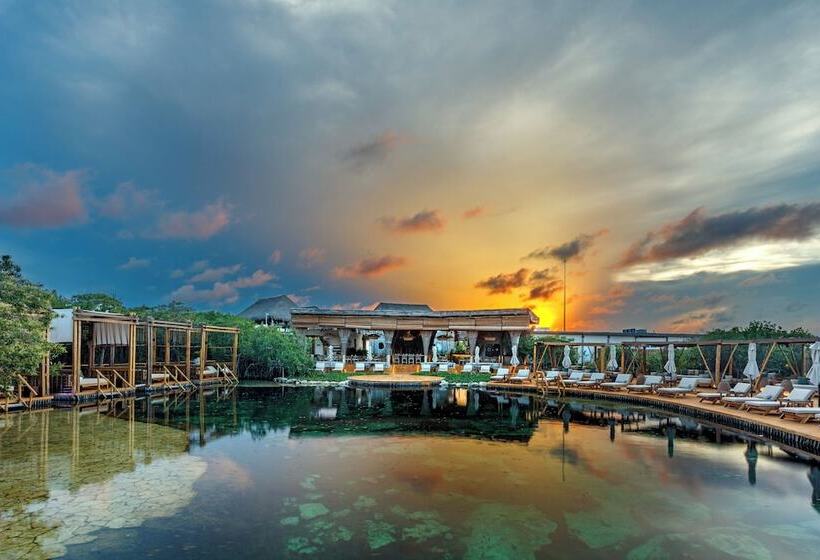 호텔 Shibari   Restaurant & Cenote Club