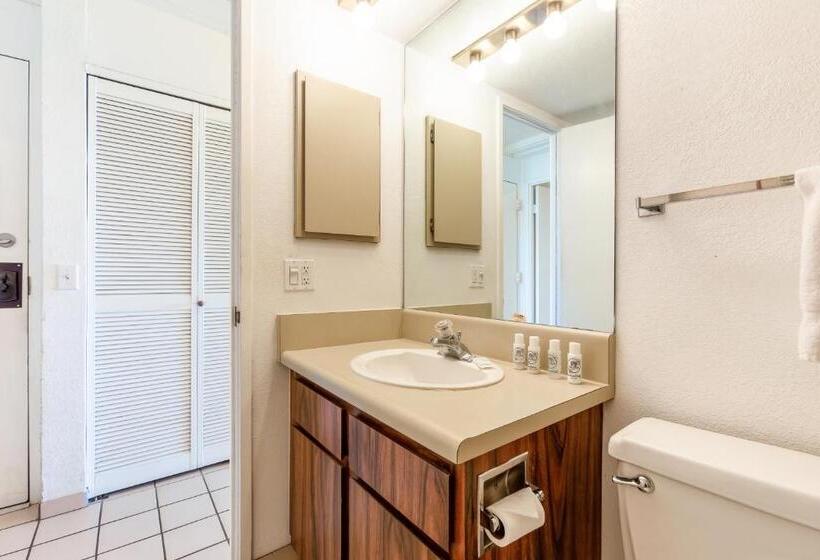 בית מלון כפרי Maui Vista Condo 2410