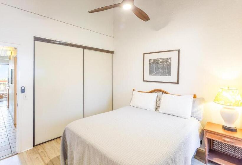 酒店 Maui Vista Condo 2410