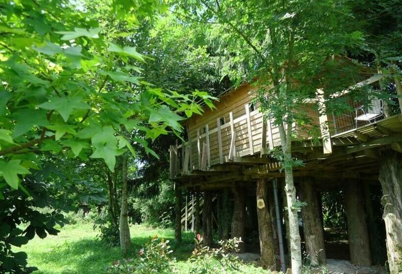膳宿费 Cabane Familiale Tout Confort Avec Jardin, Animaux, Piscine Chauffée Et étangs à Saint Thomas De Cou