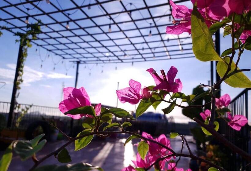 هتل Tam Coc Brothers Homestay   Ninh Bình