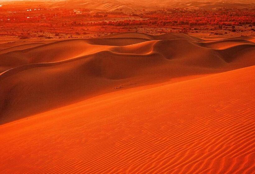 ホテル The Carvaans Resort