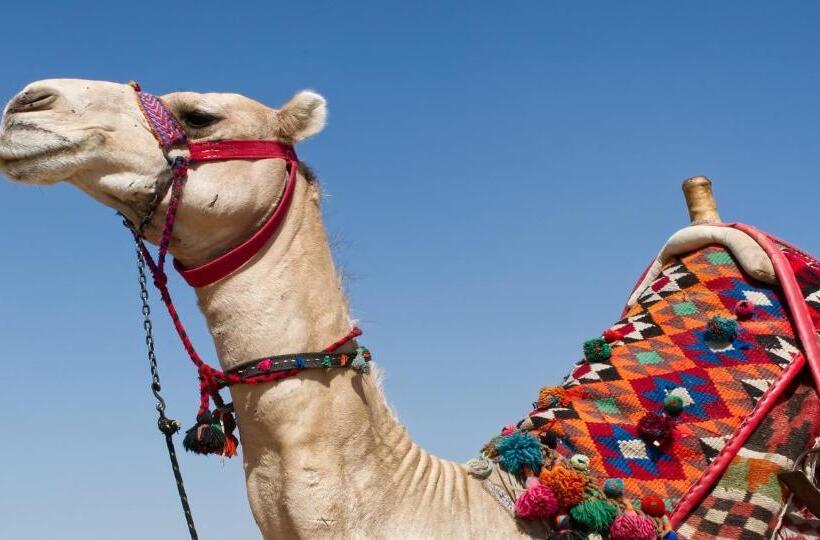 ホテル The Carvaans Resort