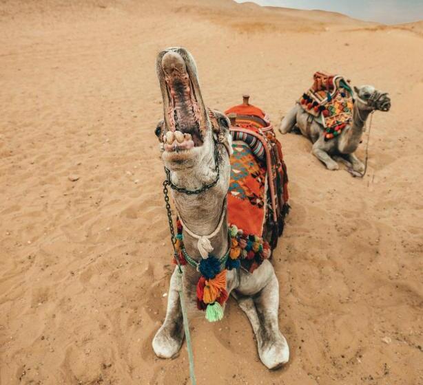 ホテル The Carvaans Resort