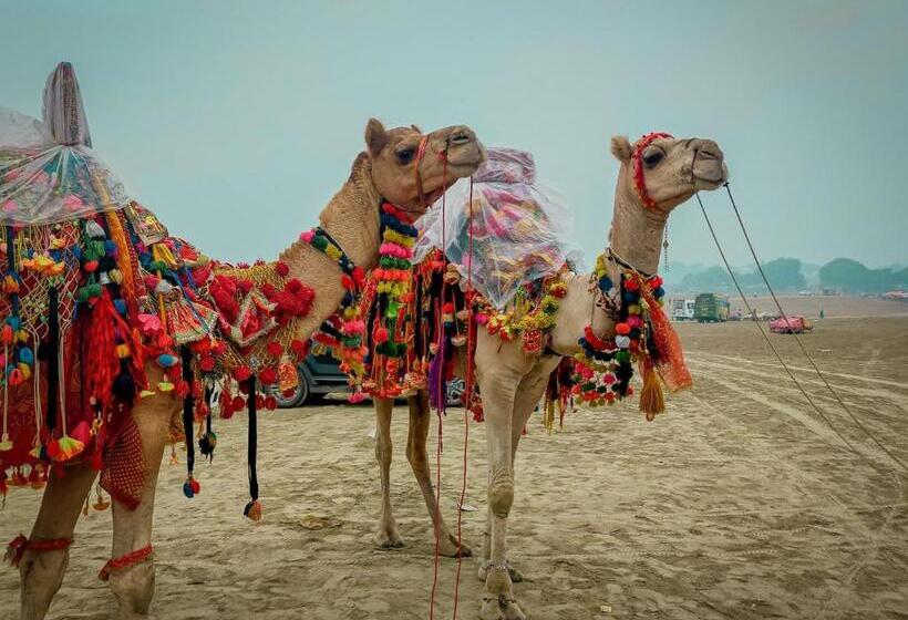 ホテル The Carvaans Resort