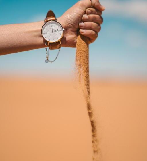 ホテル The Carvaans Resort