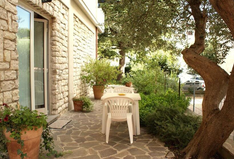 פנסיון Affittacamere La Buganvillea