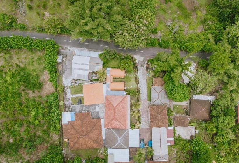 بنسيون Brisk Homestay