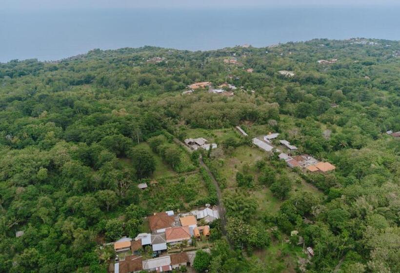 بنسيون Brisk Homestay