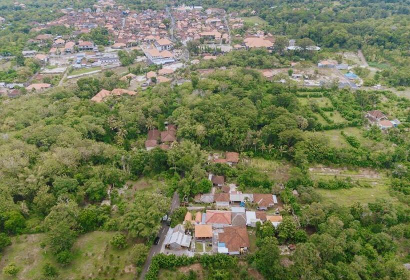 بنسيون Brisk Homestay